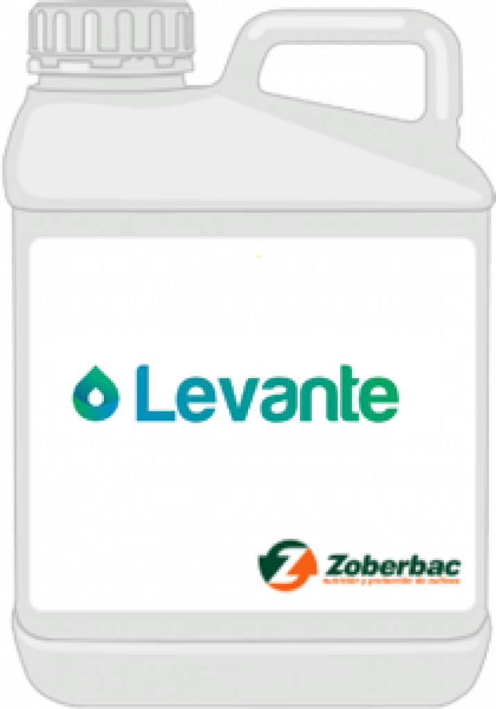 Levante