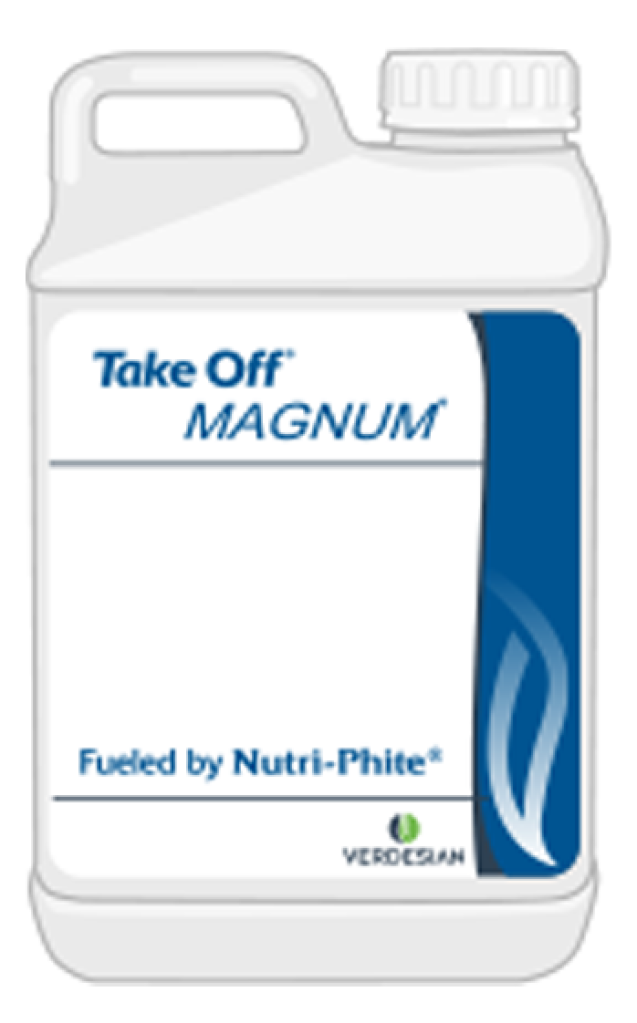 Take Off Magnum