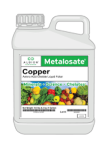 Metalosate Copper