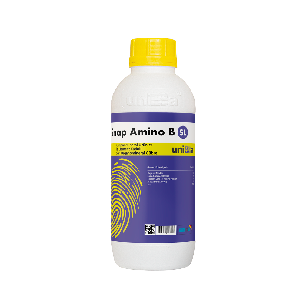 SNAP AMINO B