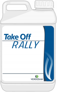 Take Off Rally