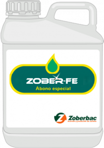 Zober Fe